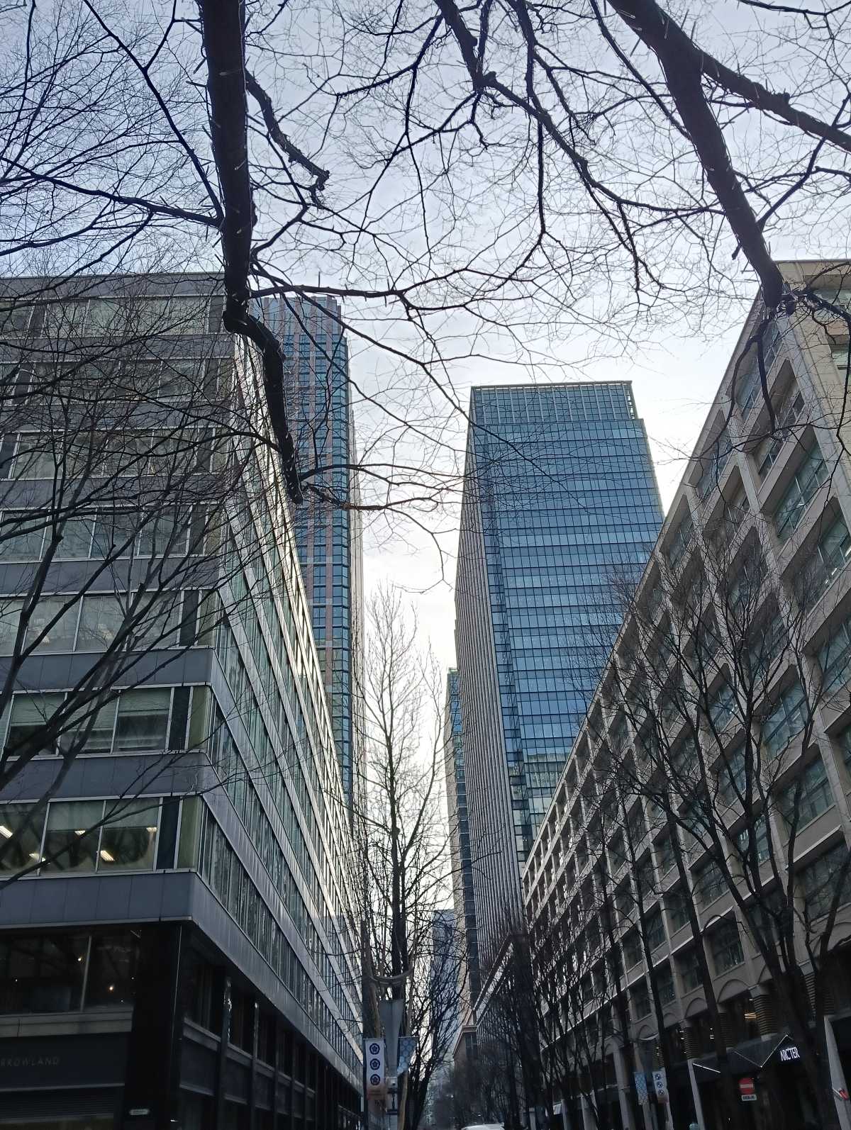 【スタッフブログ】東京創業ステーションでプランコンサルティングを受けてきました!